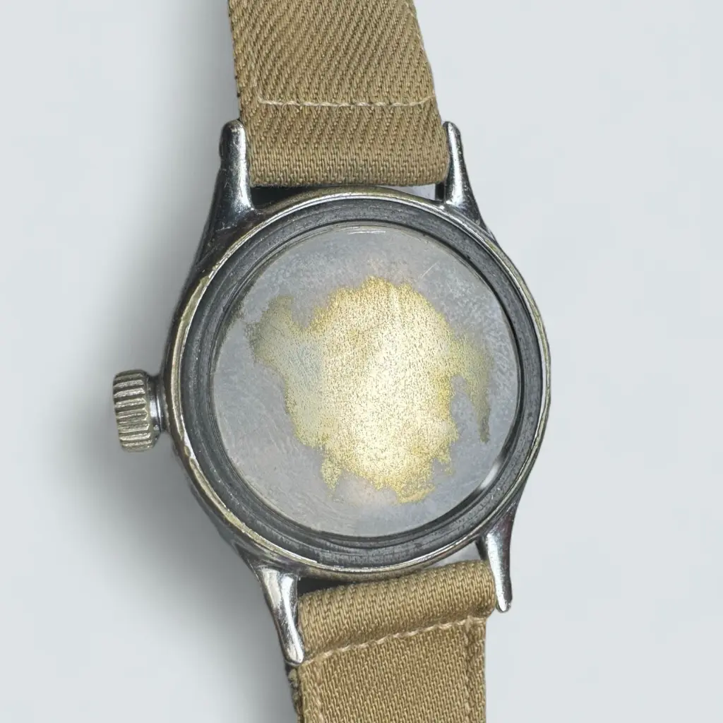 WhatsApp Image 2025-08-13 at 15.36.30 (1).webp