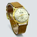 WhatsApp Image 2025-11-14 at 15.27.17.webp