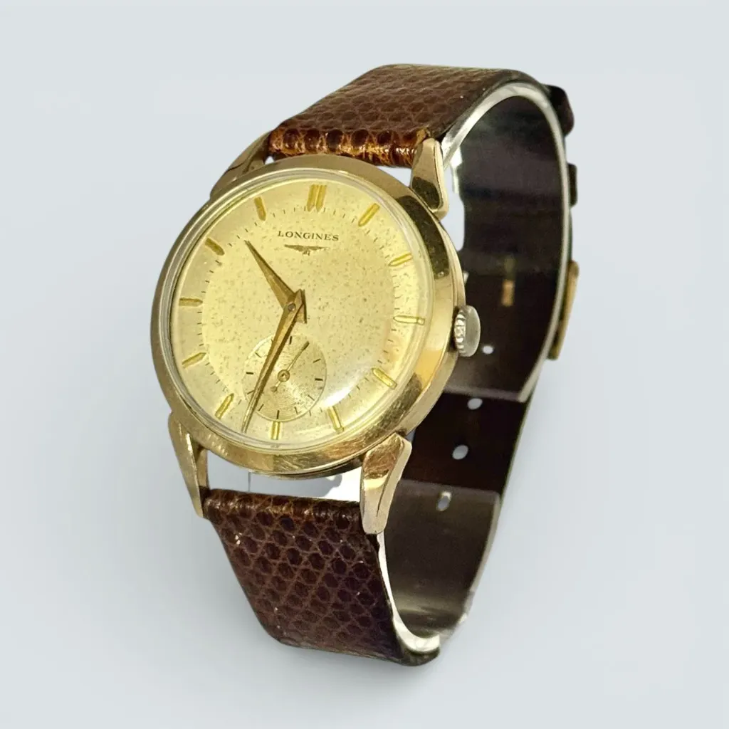 WhatsApp Image 2026-01-13 at 17.17.50.webp