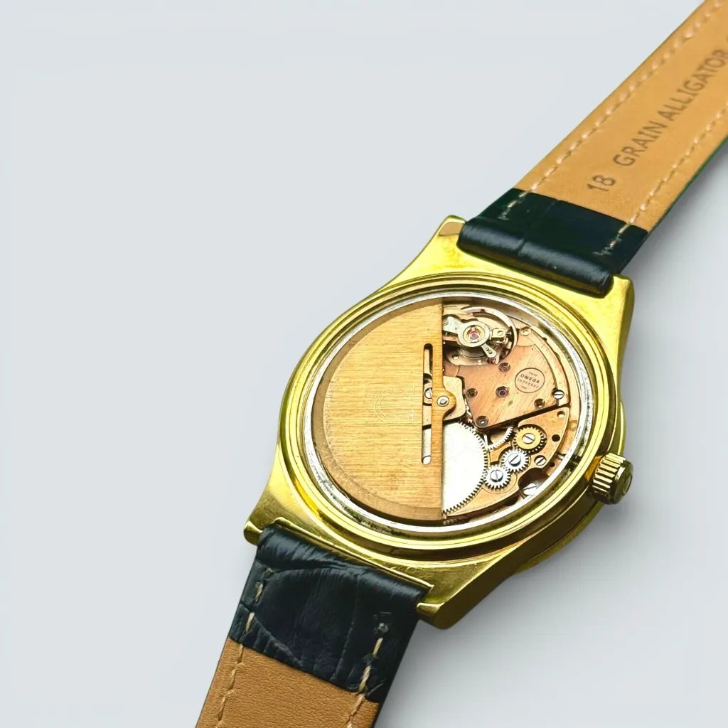 WhatsApp Image 2026-01-15 at 14.03.45.webp