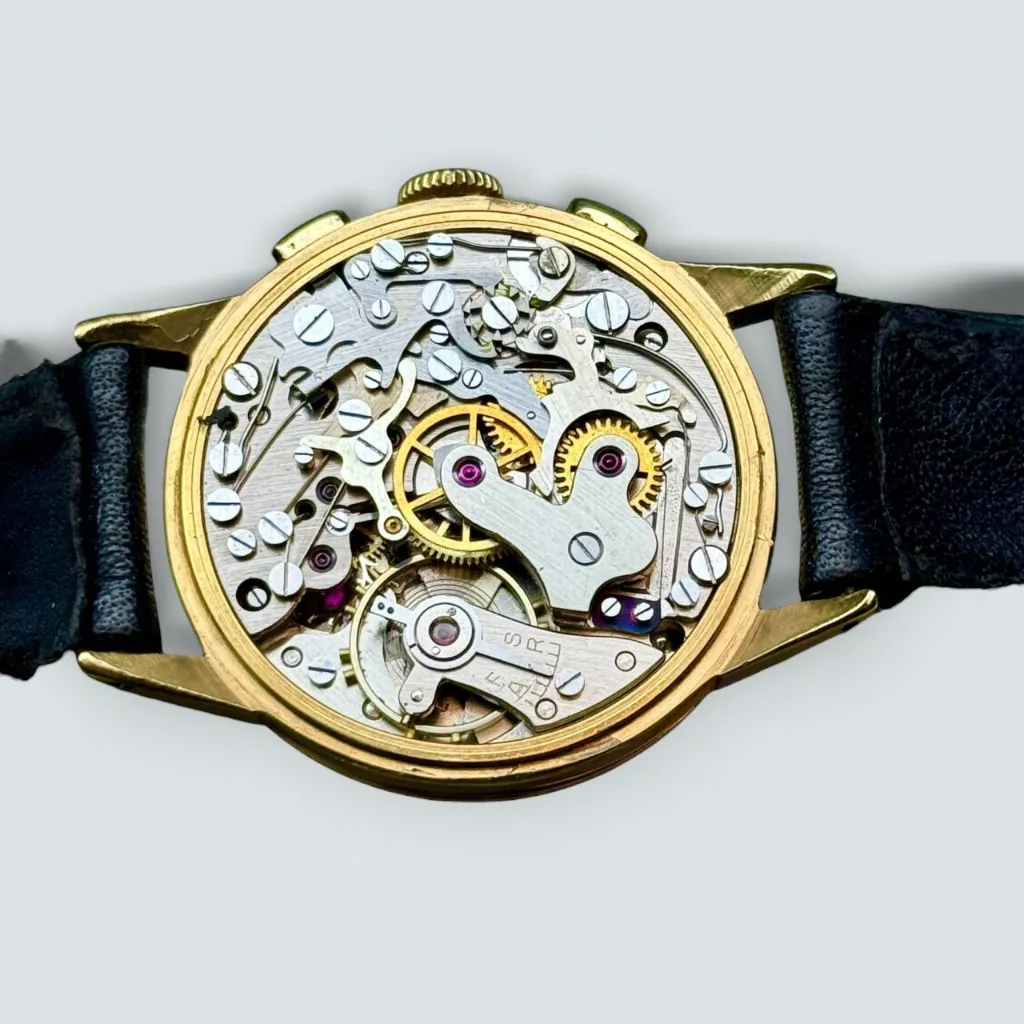 WhatsApp Image 2026-01-22 at 16.23.25 (1).webp