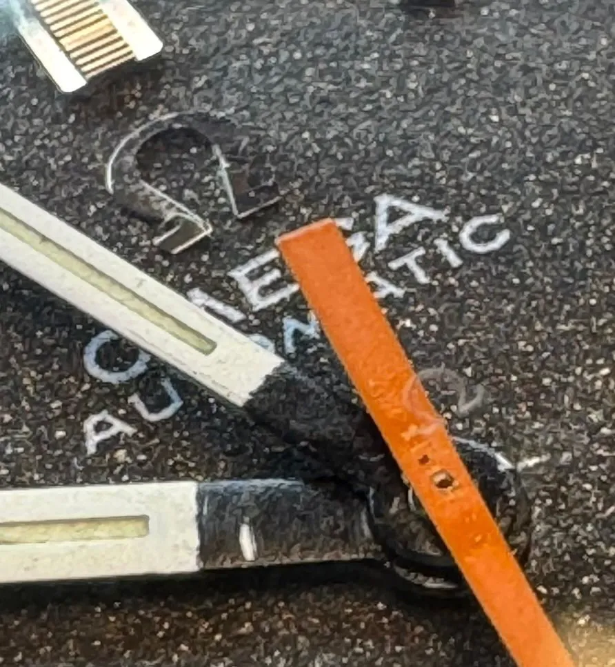 WhatsApp Image 2026-01-28 at 13.32.51.webp