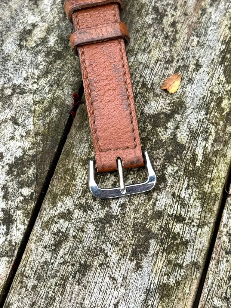 WhatsApp Image 2026-02-02 at 16.45.54.webp