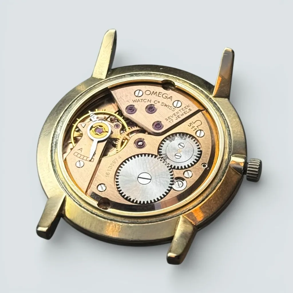 WhatsApp Image 2026-02-04 at 12.16.06 (1).webp