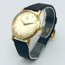 WhatsApp Image 2026-02-04 at 12.16.04.webp