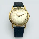 WhatsApp Image 2026-02-04 at 12.16.05.webp