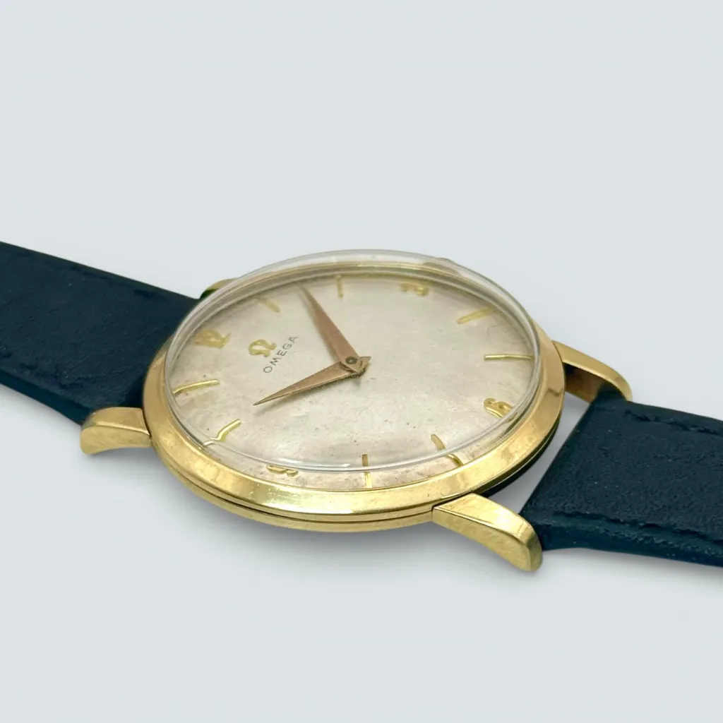 WhatsApp Image 2026-02-04 at 12.16.06.webp