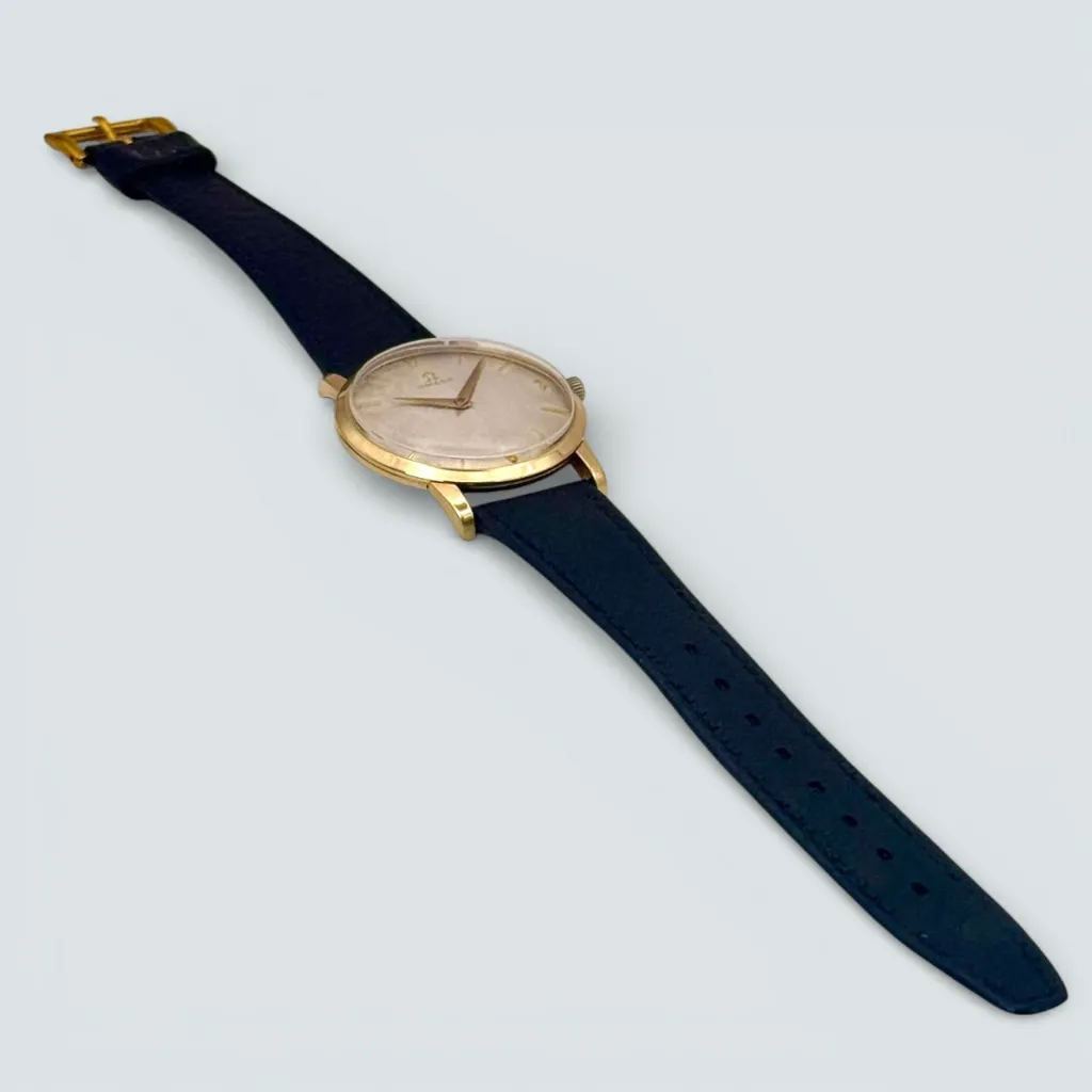 WhatsApp Image 2026-02-04 at 12.16.05 (9).webp