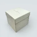 WhatsApp Image 2026-02-17 at 20.43.11 (3).webp