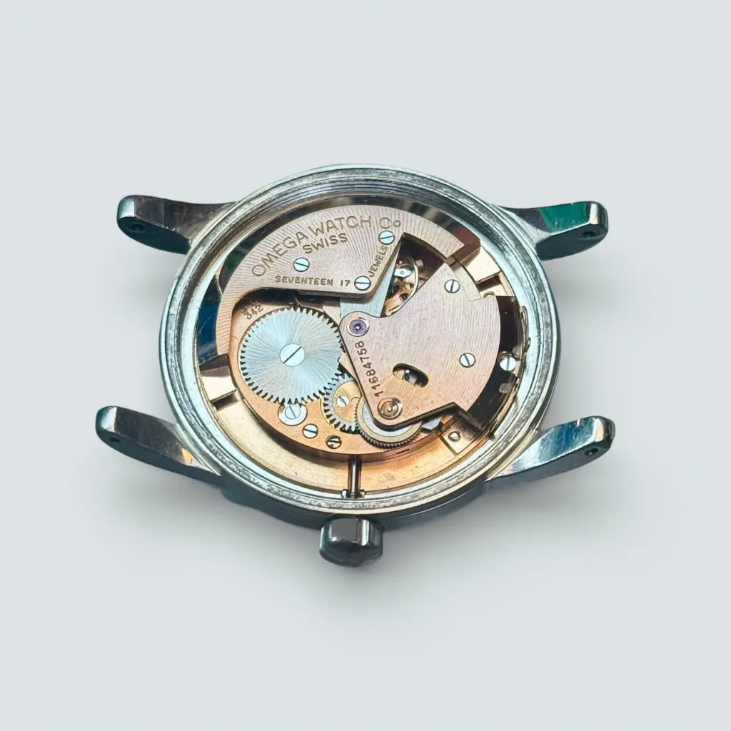 WhatsApp Image 2026-02-20 at 15.25.04 (7).webp