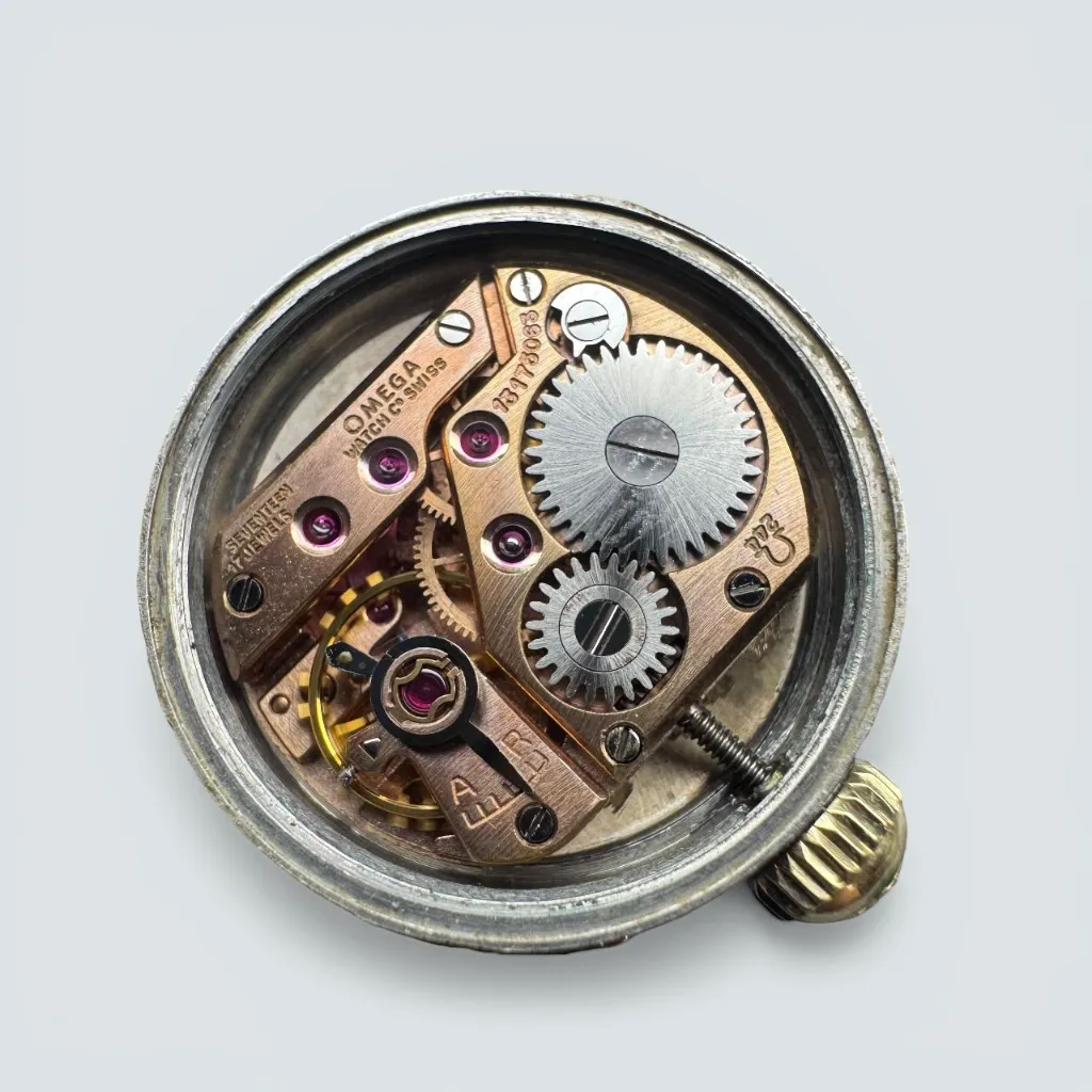 WhatsApp Image 2026-03-20 at 14.49.25 (7).webp