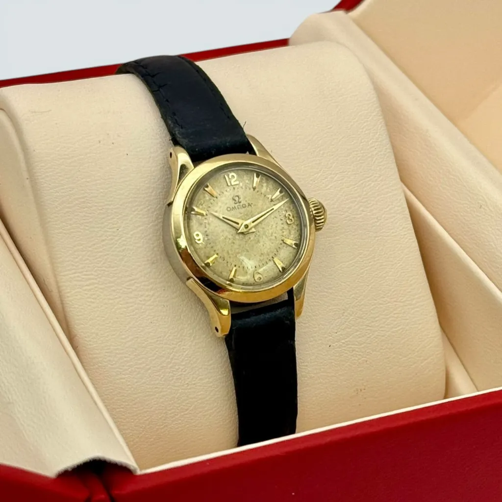 WhatsApp Image 2026-03-20 at 14.49.25 (6).webp