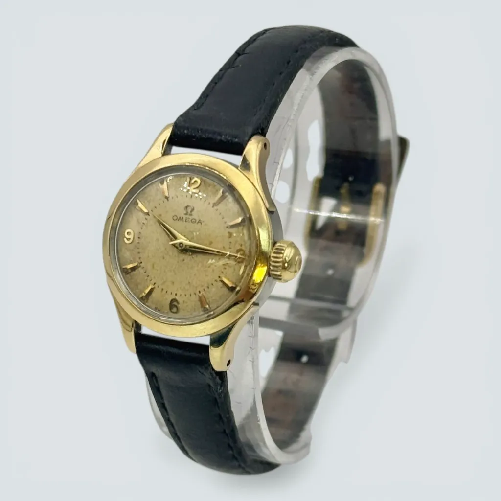 WhatsApp Image 2026-03-20 at 14.49.24 (1).webp