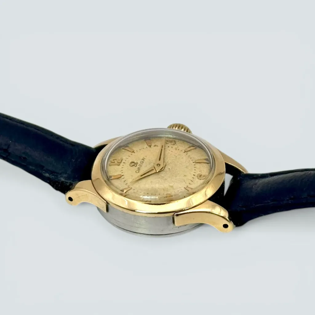 WhatsApp Image 2026-03-20 at 14.49.25 (3).webp