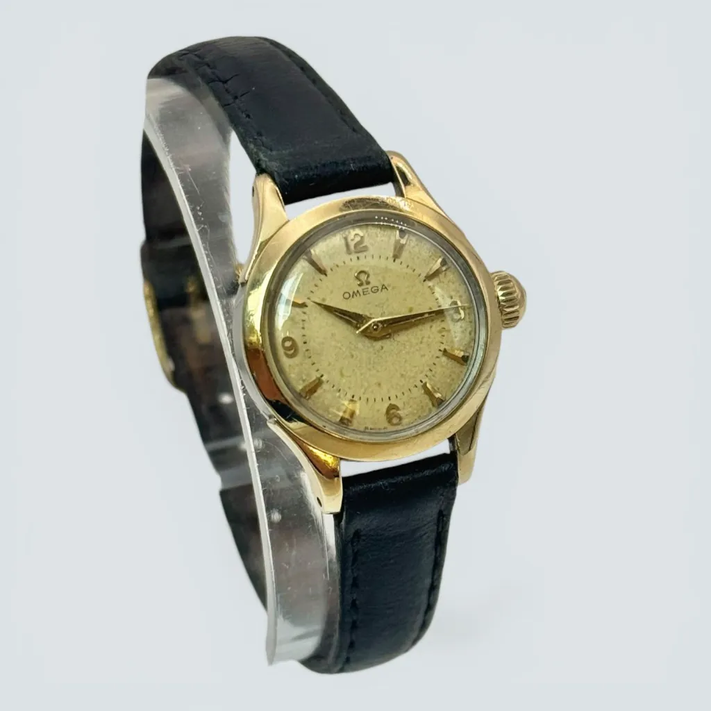 WhatsApp Image 2026-03-20 at 14.49.25.webp