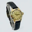 WhatsApp Image 2026-03-20 at 14.49.25.webp