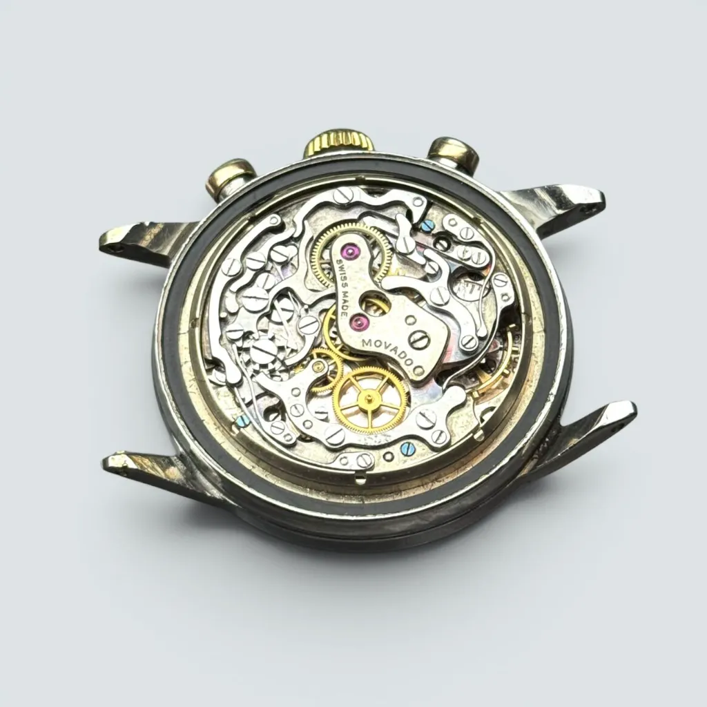 WhatsApp Image 2026-04-16 at 18.24.35 (3).webp